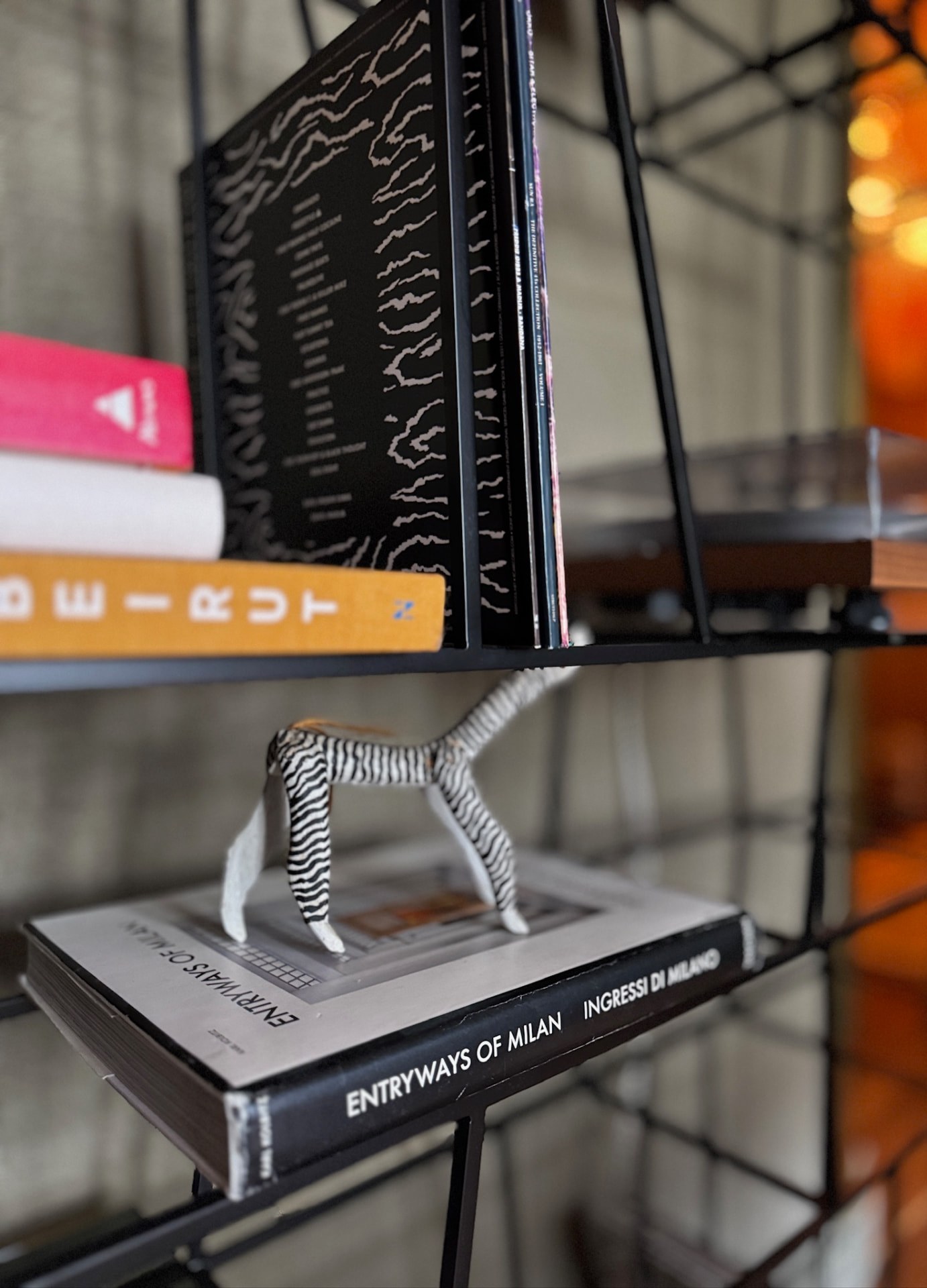 Wire shelving with design books and a striped figure
